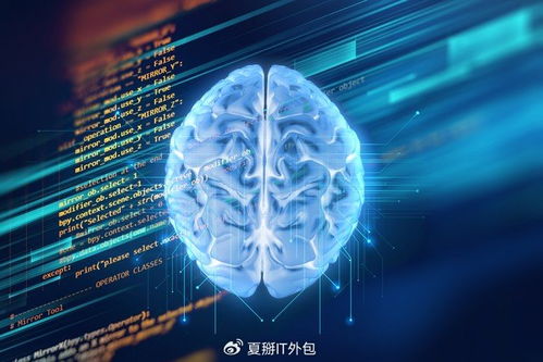 软件开发公司的AI魔法 解锁无限可能的软件外包服务新纪元