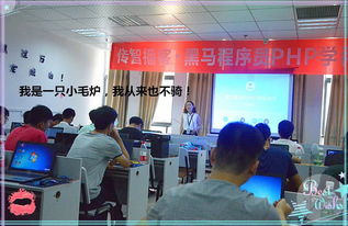 淡淡微笑,墨染流年——记PHP03期基础班